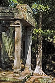 Angkor - ruins of Beng Mealea